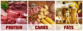Protein Carbohydrates Fat